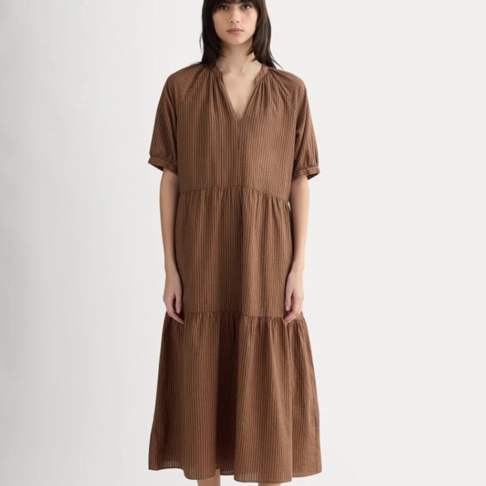 Everlane Farmers Market Dress - Carob Brown/Black Stripe - NWT